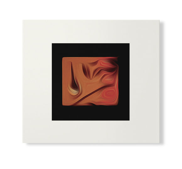Susumu Yokota - The Boy And The Tree (Skintone Edition) (New CD)