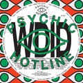 Sylvan Esso - WDID b/w KEEP ON (12" Single) (New Vinyl)
