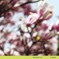 Tara Clerkin Trio - In Spring (12" EP) (New Vinyl)