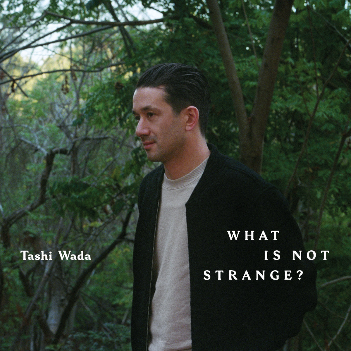 Tashi Wada - What Is Not Strange? (New Vinyl)