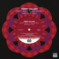 Terry Callier - I Don't Want To See Myself (Without You)/If I Could Make You (Change Your Mind) (7") (New Vinyl)