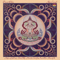 Terry Riley - Shri Camel (New Vinyl)