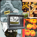 Thank You, I'm Sorry - Growing In Strange Places (Orange Crush Coloured Vinyl) (New Vinyl)