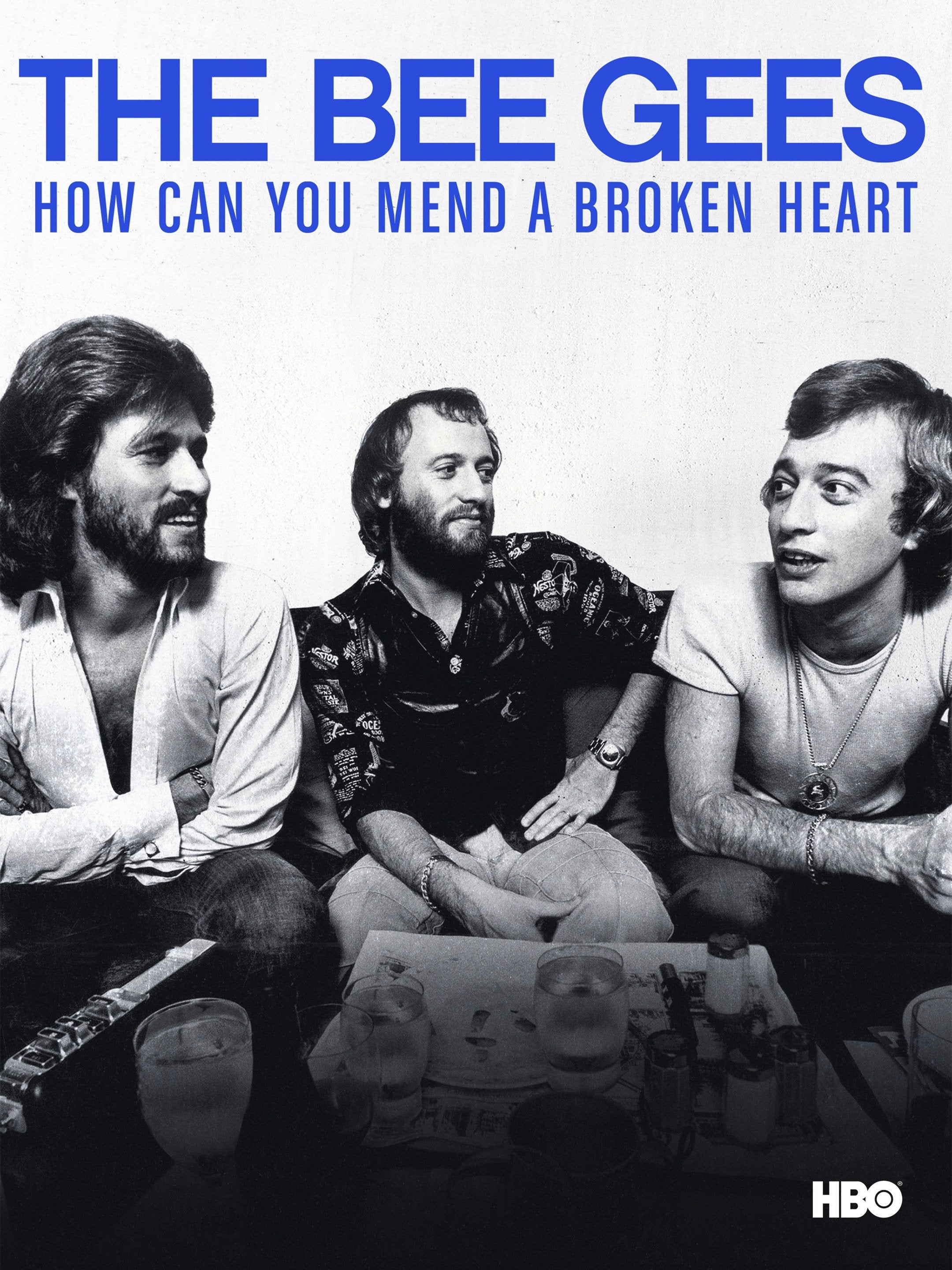 The Bee Gees: How Can You Mend a Broken Heart (New DVD)