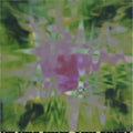 The Field - Now You Exist (12") (New Vinyl)