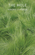 The Hole (New Book)