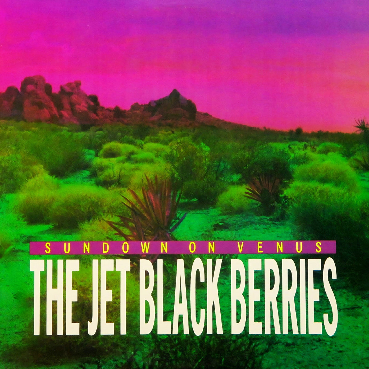 The Jet Black Berries - Sundown On Venus (Definitive Edition) (New CD)