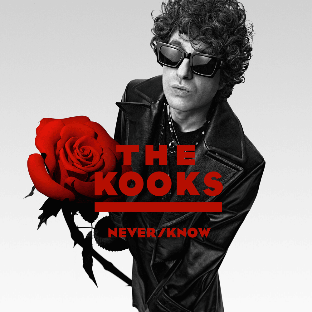 The Kooks - Never/Know (New Vinyl)