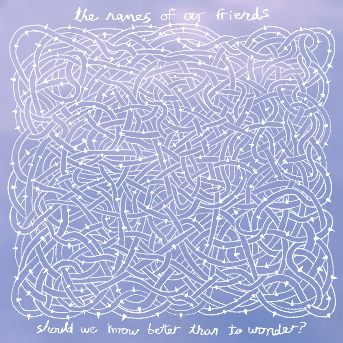 The Names Of Our Friends - Should We Know Better Than To Wonder? (10") (New Vinyl)