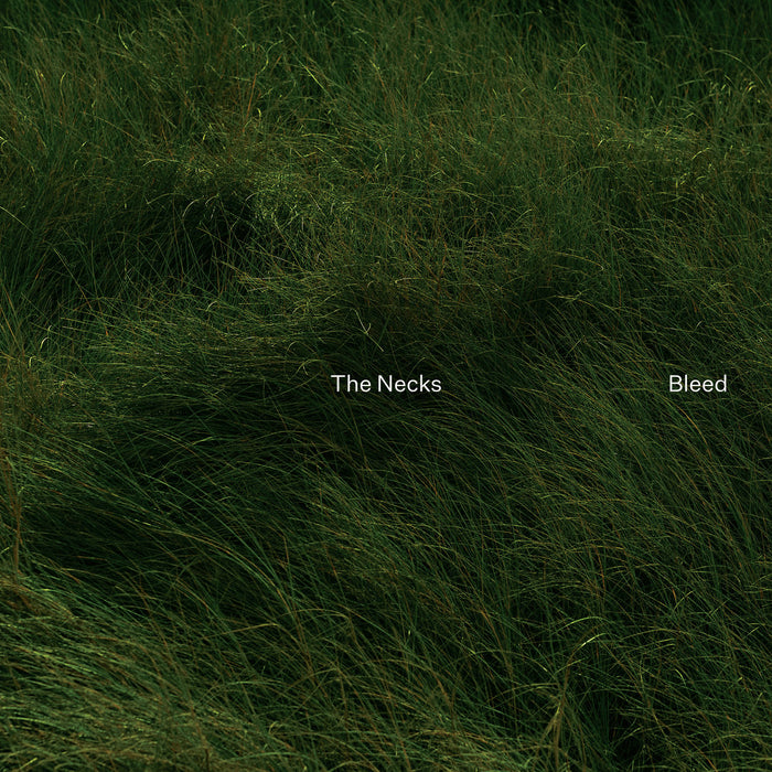 The Necks - Bleed (New Vinyl)
