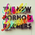 The New Pornographers - Brill Bruisers (New Vinyl)