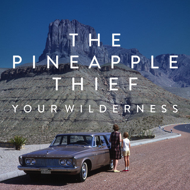 The Pineapple Thief - Your Wilderness (10th Anniversary) (Clear Vinyl) (New Vinyl)