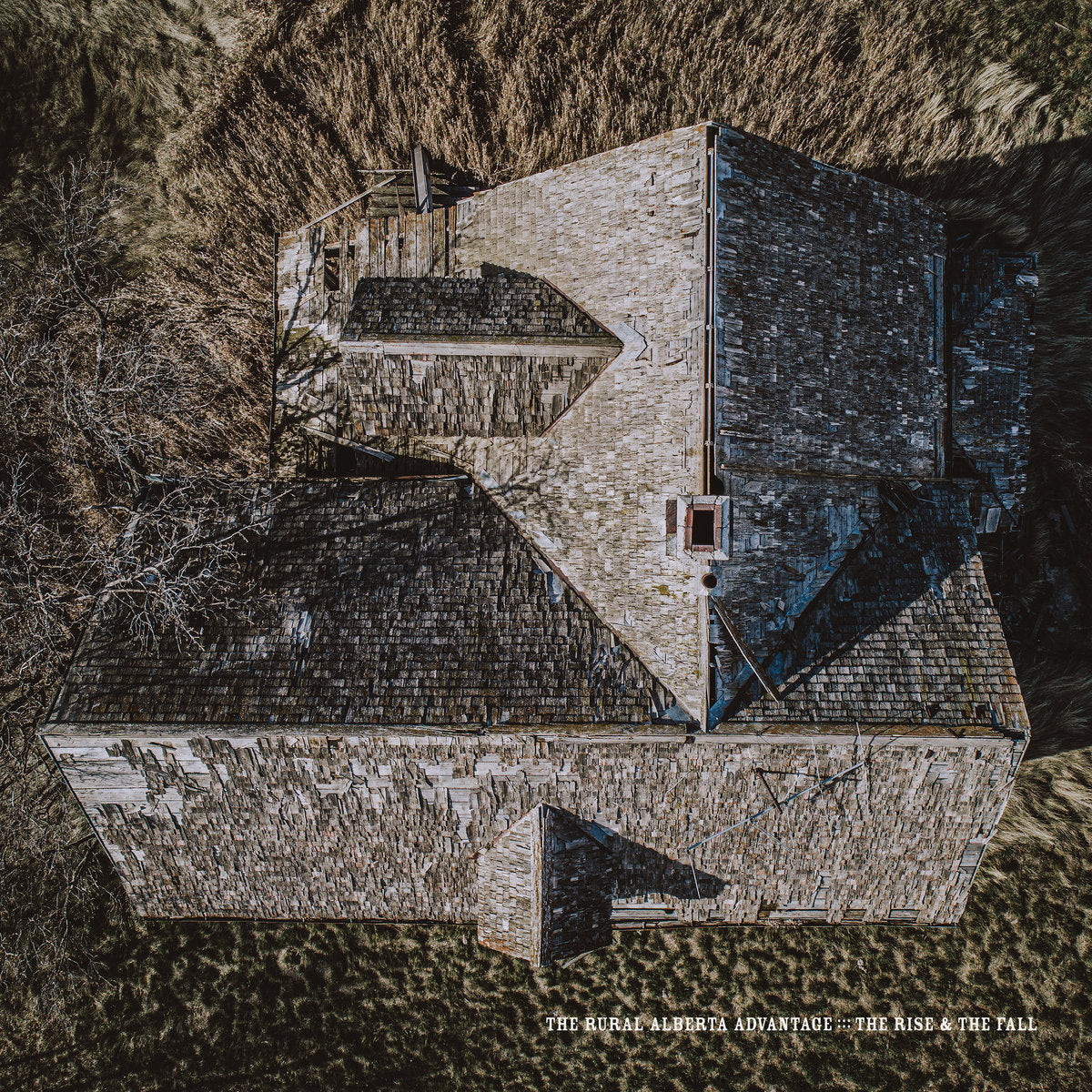 The Rural Alberta Advantage - The Rise & The Fall (Tan Vinyl) (New Vinyl)