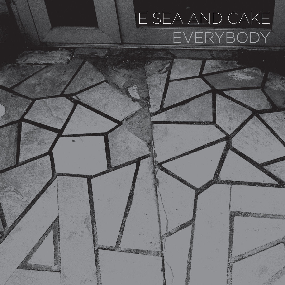 The Sea and Cake - Everybody (Aluminum Colour Vinyl) (New Vinyl)