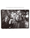 The Smashing Pumpkins  - Greatest Hits (New Vinyl)