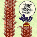 The Story So Far - Under Soil And Dirt (Yellow w/ Rainbow Splatter Vinyl) (New Vinyl)