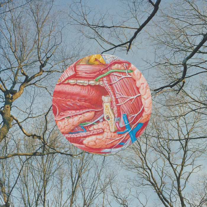 They Might Be Giants - Glean/Clear With Red Whisps Vinyl (New Vinyl)