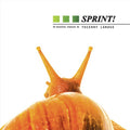 Thierry Larose - Sprint! (New Vinyl)