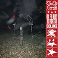 This Is Lorelei - Box For Buddy, Box For Star (Super Deluxe Edition) (Cherry Red Vinyl) (New Vinyl)