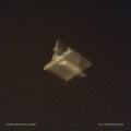 Those Who Walk Away - The Infected Mass (180g) (New Vinyl)