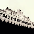 Toad The Wet Sprocket - Welcome Home: Live At The Arlington Theatre, Santa Barbara 1992 (2LP) (RSD 2025) (New Vinyl)