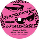 Tom Noble Presents: House Of Spirits - Please Take Me There (12") (New Vinyl)