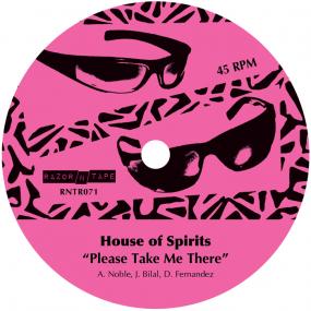 Tom Noble Presents: House Of Spirits - Please Take Me There (12") (New Vinyl)