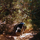 Ty Segall - Possession (New CD)