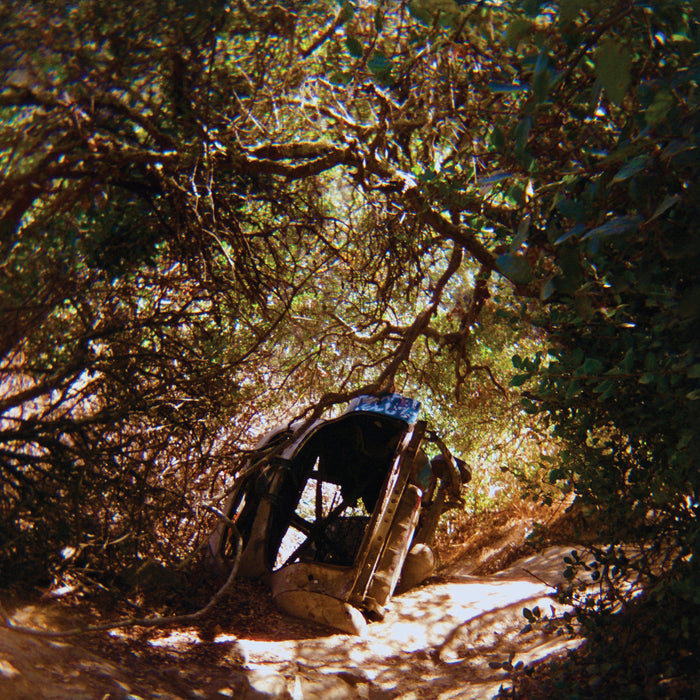Ty Segall - Possession (New Vinyl)