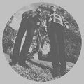 Ty-segall-white-fence-hair-new-vinyl