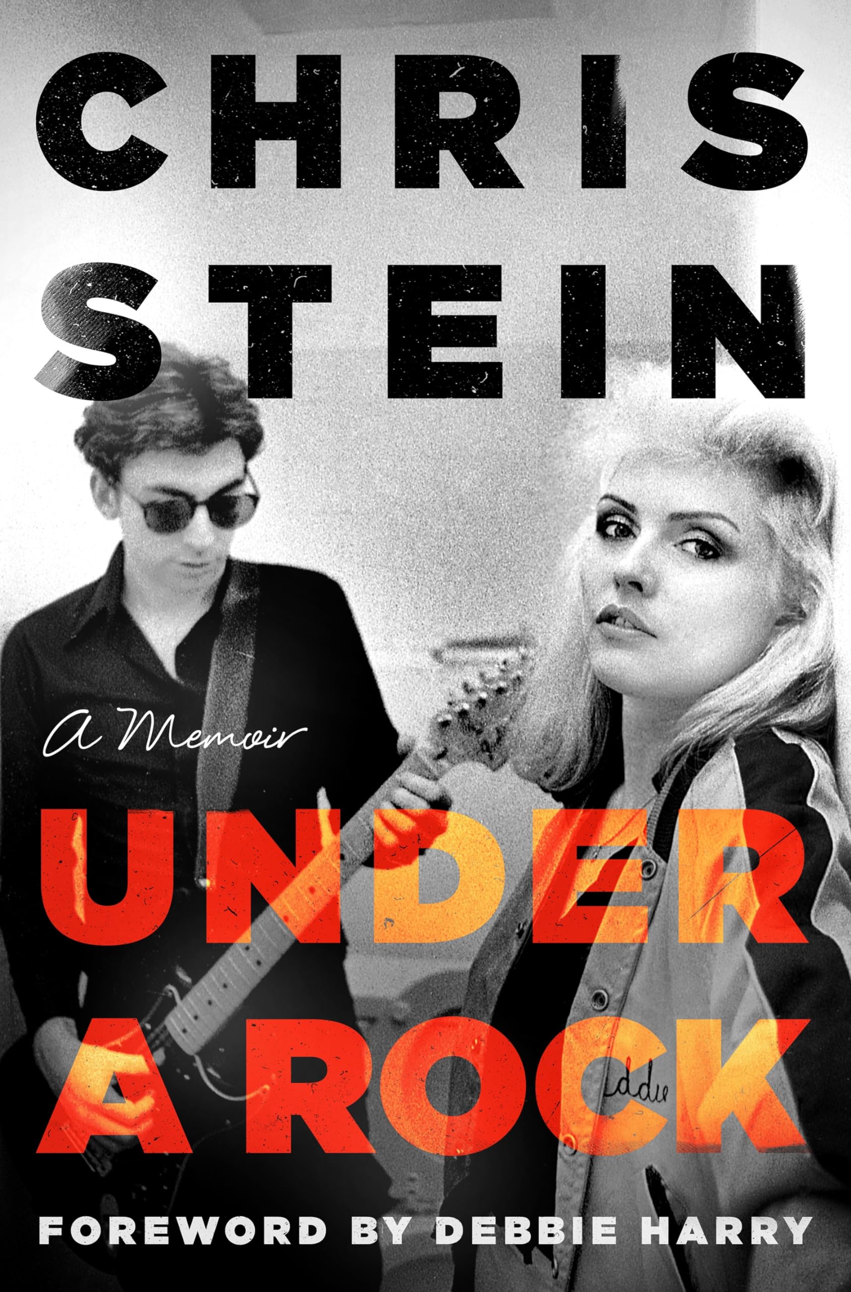 Under a Rock: A Memoir (New Book)