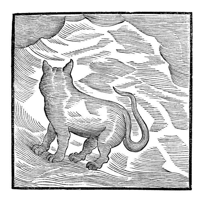 Valentina Magaletti & YPY - Kansai Bruises (New Vinyl)