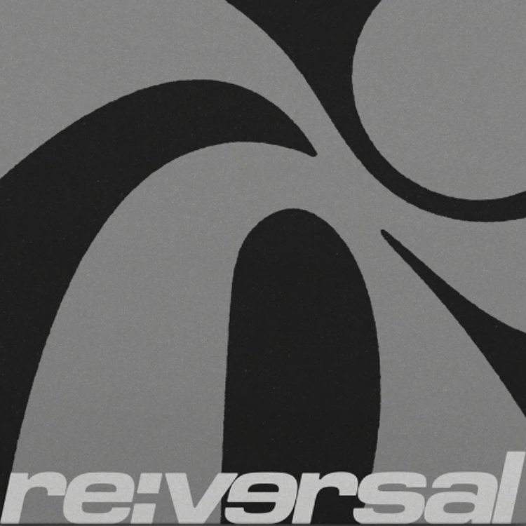 Various Artists - Re:Versal 002 (New Vinyl)