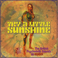 Various Artists - Try A Little Sunshine (3CD): British Psychedelic Sounds Of 1969 (New CD)