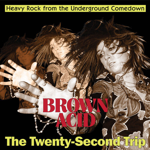 Various - Brown Acid: The Twenty-Second Trip (New Vinyl)