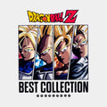 Various - Dragon Ball Z: Best Collection (New Vinyl)