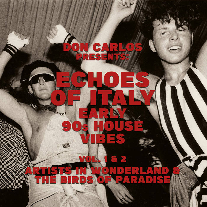Various - Echoes Of Italy: Early 90s House Vibes Vol. 1 Artists In Wonderland (New Vinyl)