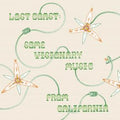 Various - Lost Coast: Some Visionary Music from California (New Vinyl)