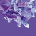 Various - Pop Ambient 2025 (New CD)