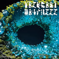 Various - Primary Forest 03 (New Vinyl)