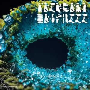 Various - Primary Forest 03 (New Vinyl)
