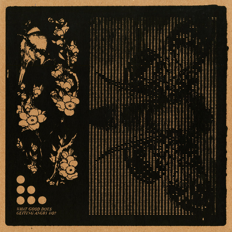 Various - What Good Does Getting Angry Do? (New Vinyl)