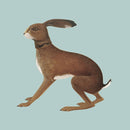 Vashti Bunyan - Lookaftering (Expanded) (New Vinyl)
