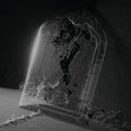 Visible Cloaks - Paradessence (New CD)