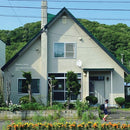 Vladislav Delay - Hide Behind The Silence EP 5 (10") (New Vinyl)