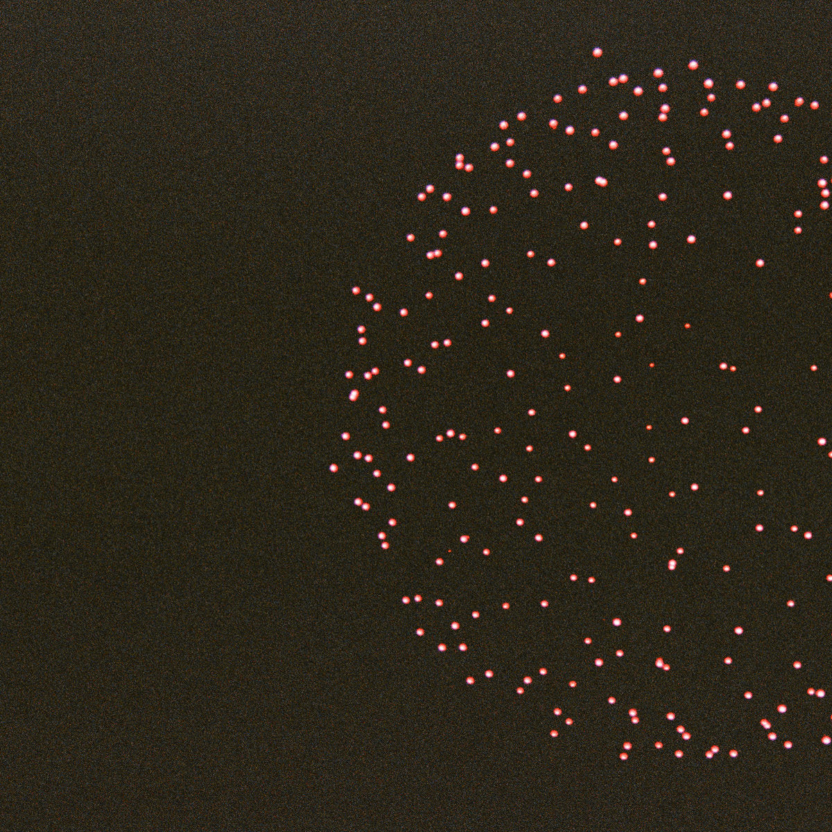 Westwood Convenience - Dream Pulse (New Cassette)