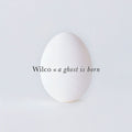 Wilco - A Ghost Is Born (Expanded Edition) (New CD)