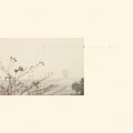 Wild Nothing - Golden Haze (Gold Vinyl) (New Vinyl)