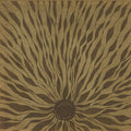 Willem Nyland - Piano Studies 337 (New Vinyl)