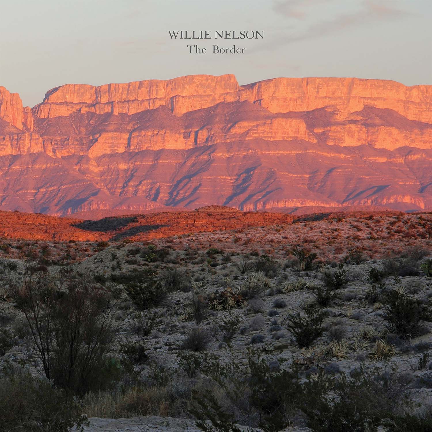 Willie Nelson - The Border (New CD)